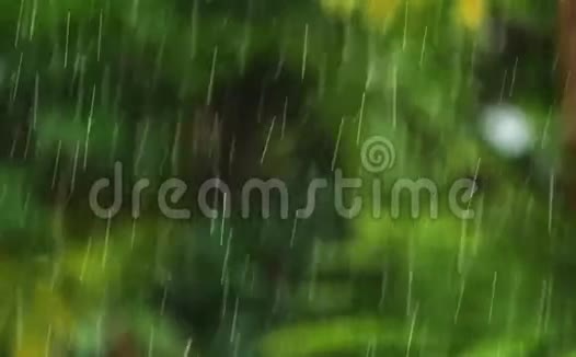 慢动作热带雨视频的预览图