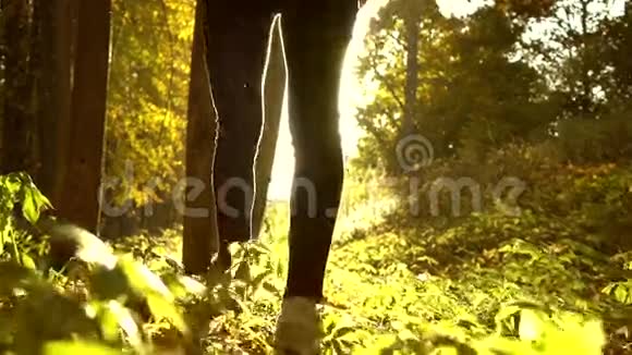 穿着跑鞋的年轻女子走在森林里秋天落叶上迎着灿烂的阳光慢动作稳定射击视频的预览图