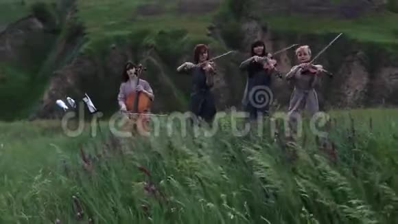 女性音乐四重奏在开花的草地在黄昏视频的预览图