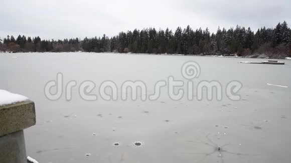 失落的泻湖雪斯坦利公园4KUHD视频的预览图