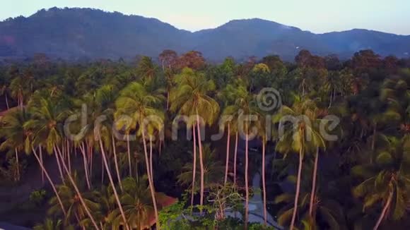 泰国棕榈树和海滩俱乐部的全景视频的预览图