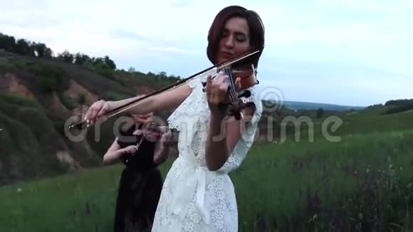 女性音乐四重奏在黄昏的开花草地上演奏视频的预览图