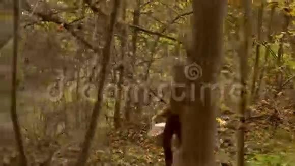 美丽苗条的女孩走在秋天的森林里拿着一个野餐篮配置文件视图4K稳定视频视频的预览图