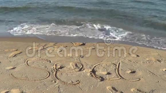 字海在沙滩上视频的预览图