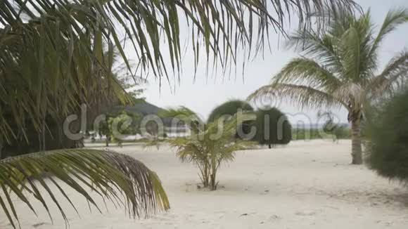 天堂海滩棕榈泰国夏日时光白沙泻亚海视频的预览图