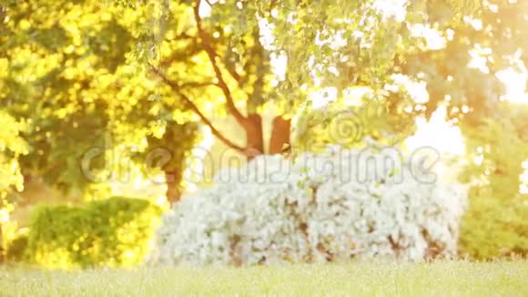 阳光明媚的夏日可爱的小女孩在公园的树下散步视频的预览图