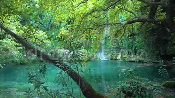 瀑布和绿色池塘的宁静景色视频的预览图