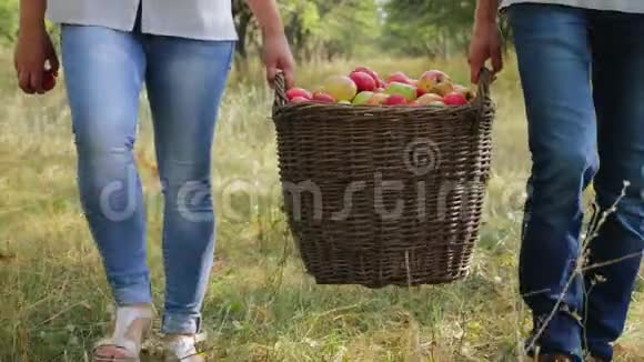 农民们背着满满一篮子苹果特写视频的预览图