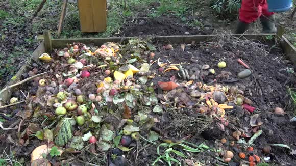 将各种水果和蔬菜废料倒入木制堆肥箱中视频的预览图