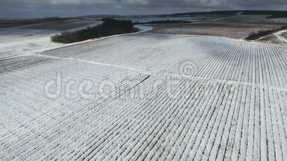 积雪覆盖的农村农田鸟瞰视频的预览图
