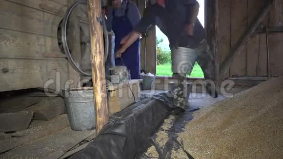 男人拿着装满谷物的桶农业谷物筛机视频的预览图
