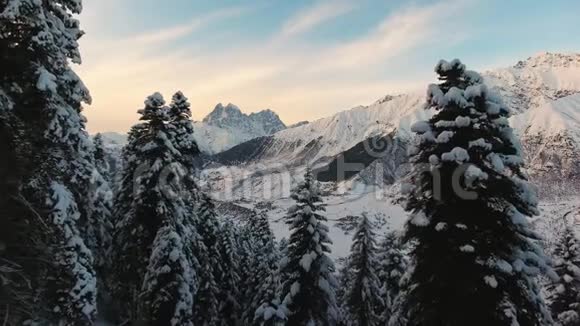 白雪覆盖的松树和奇山的奇妙冬天的景色视频的预览图