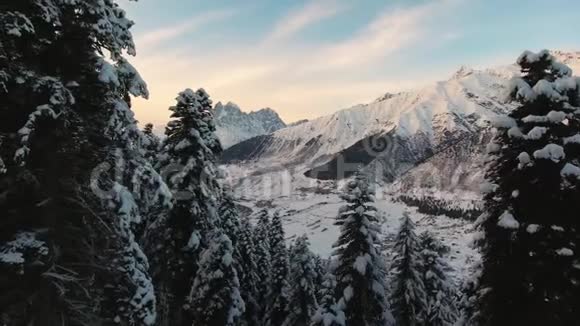 令人叹为观止的冬季景观白雪覆盖的松树和神奇的山脉视频的预览图