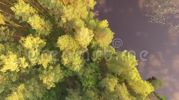美丽惊人的欧洲白俄罗斯野生自然四架直升机降落在松林湖上白俄罗斯施特查河视频的预览图