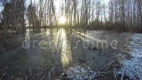 冬季日落森林和冰时间流逝视频的预览图