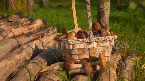 木桥上挂着蘑菇的Wicker篮子视频的预览图