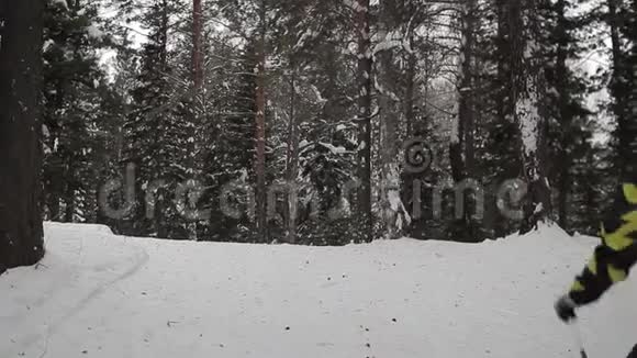 滑雪者在树林里溜冰穿过树林视频的预览图