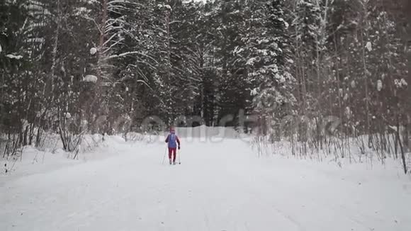 滑雪者在树林里溜冰穿过树林视频的预览图