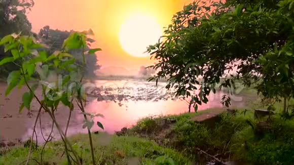 日落时池塘倒影雨季视频的预览图