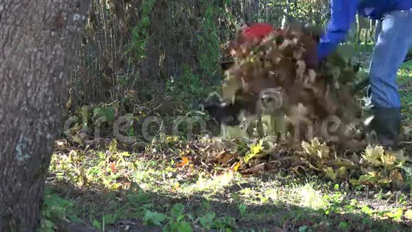 工人们在花园里的旧手推车上收集秋叶4公里视频的预览图