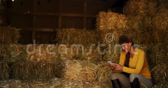 女人在马厩里用手机视频的预览图
