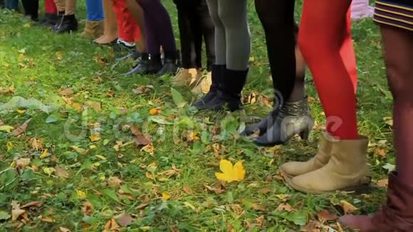 草地上的雌性腿女孩腿上不同颜色的紧身衣女孩们穿着长统袜抬起腿视频的预览图