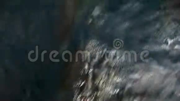海豚在太平洋的船前在水下游泳视频的预览图