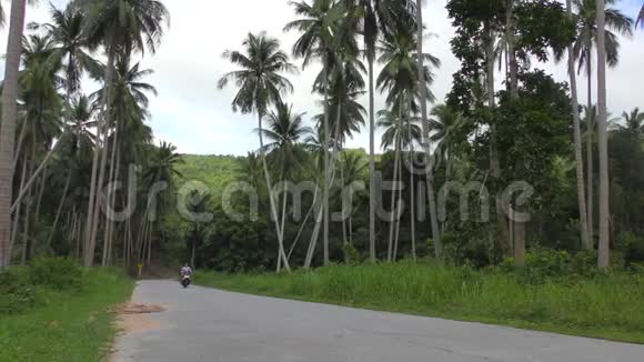 男子骑滑板车沿着公路棕榈树林视频的预览图