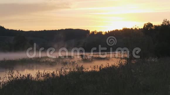 日出早晨的风景早晨在天空中它的倒影在河水的水面上夏日早晨视频的预览图