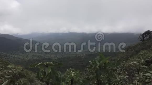 哥斯达黎加蒙特维德国家公园景观视频的预览图