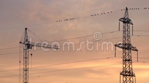 电力线路建筑起重机和早晨天空绚丽多彩的鸟类视频的预览图
