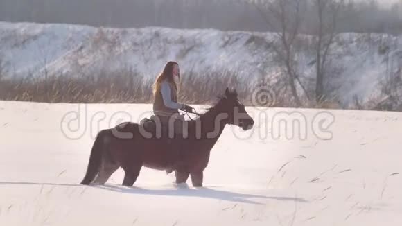 年轻的女骑手骑着一匹黑色的马穿过冬天结冰的森林的漂流视频的预览图