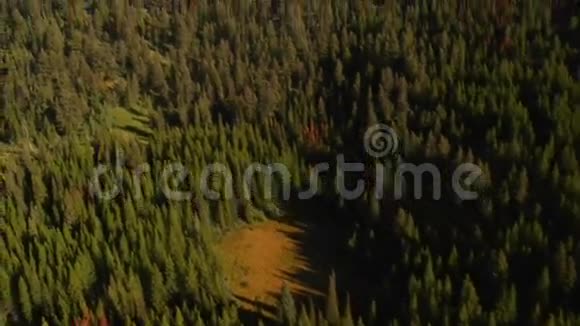 空中拍摄森林和山脉视频的预览图