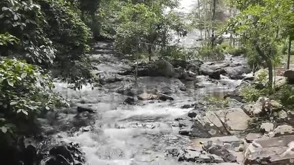 大自然的瀑布在森林中顺流而下视频的预览图