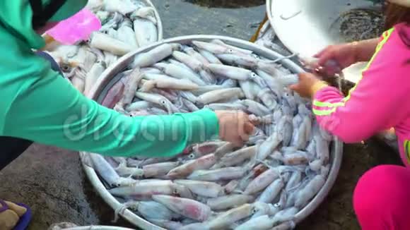 在越南的市场上女人选择新鲜的鱿鱼有活蹲的大铁板女人要求新的视频的预览图
