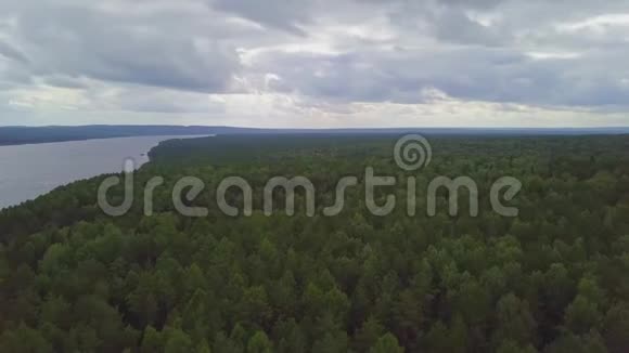 江边无地平线的常绿针叶林从上图可以看到空中景色视频的预览图