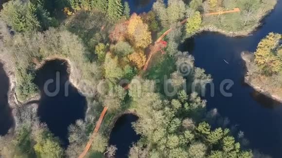 带有湖泊森林和木路的自然公园景观空中视频的预览图
