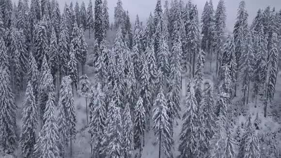 在雪山上飞过村庄晴朗的霜冻天气视频的预览图
