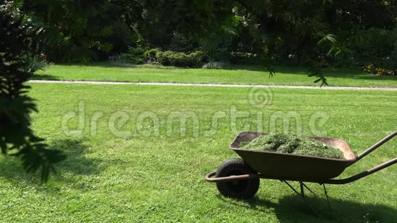 一个家伙在他的花园院子里割草旁边是割草机4K视频的预览图