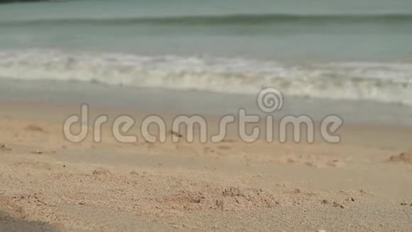 沙滩上有波浪的海景多云的天空和热带海滩螃蟹沿着海岸爬行视频的预览图