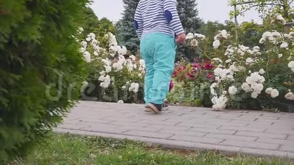 小男孩在玫瑰丛附近玩玫瑰慢动作视频的预览图