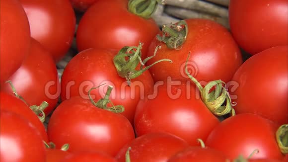 成熟和新鲜的西红柿视频的预览图