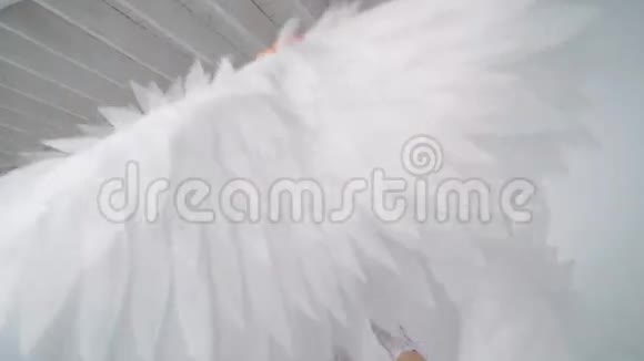 穿着白色裙子的女孩挥舞着白色翅膀视频的预览图