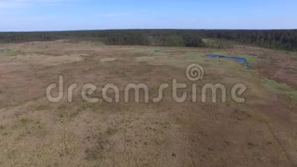 博格斯和沼泽奥巴拉保护区空中镜头视频的预览图