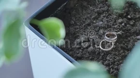 粘土花盆上的结婚戒指视频的预览图