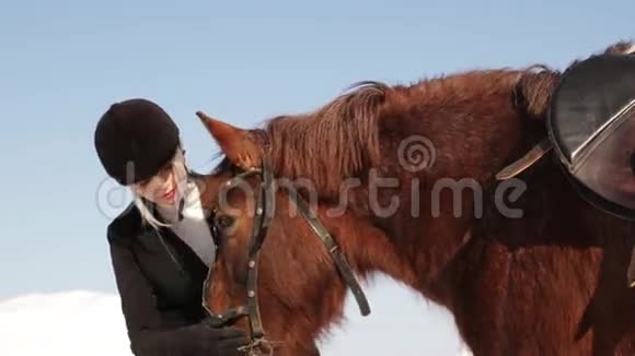 年轻漂亮的女孩骑师在冬天照顾一匹马视频的预览图
