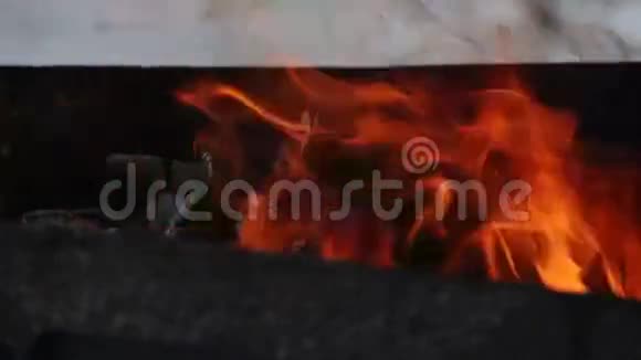 冬季烧烤火灾视频的预览图