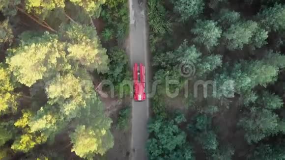 从无人驾驶飞机到红火车在松林路上行驶的俯视图视频的预览图
