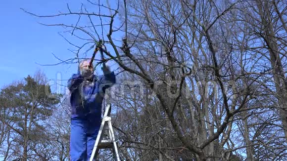 人在春季用剪枝剪剪剪树枝4K视频的预览图