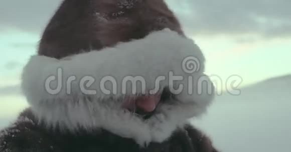 冒险家穿着驯鹿传统夹克和毛皮罩的肖像这是雪和风拍摄于红色电影院视频的预览图